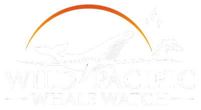 Wild Pacific Whale Watch