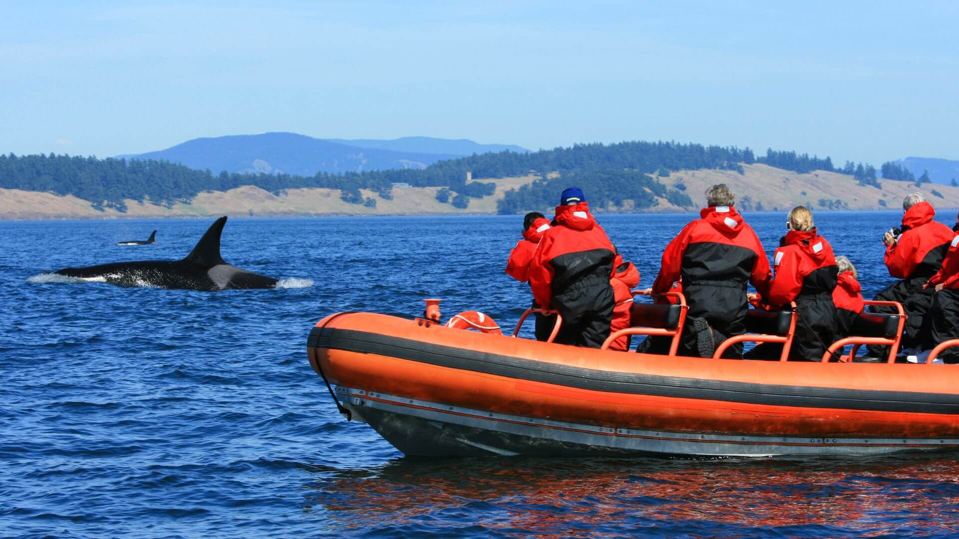 what to wear on a whale watching tour (1)