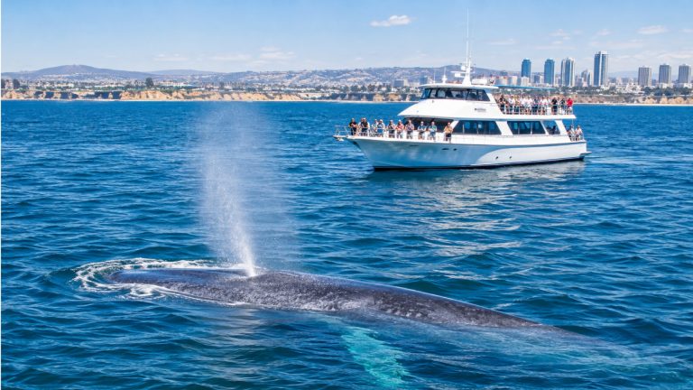 Labor Day in San Diego