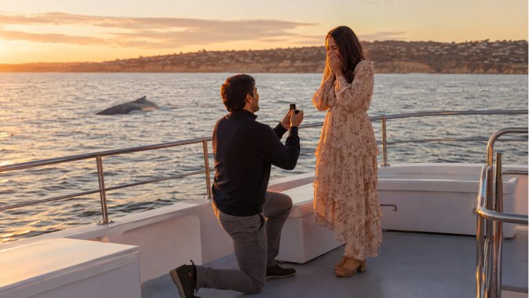 san diego proposal ideas